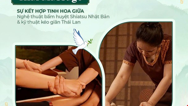 🌿 SHIATSU – THAI MASSAGE | New Service at Shinrin Spa 🌿